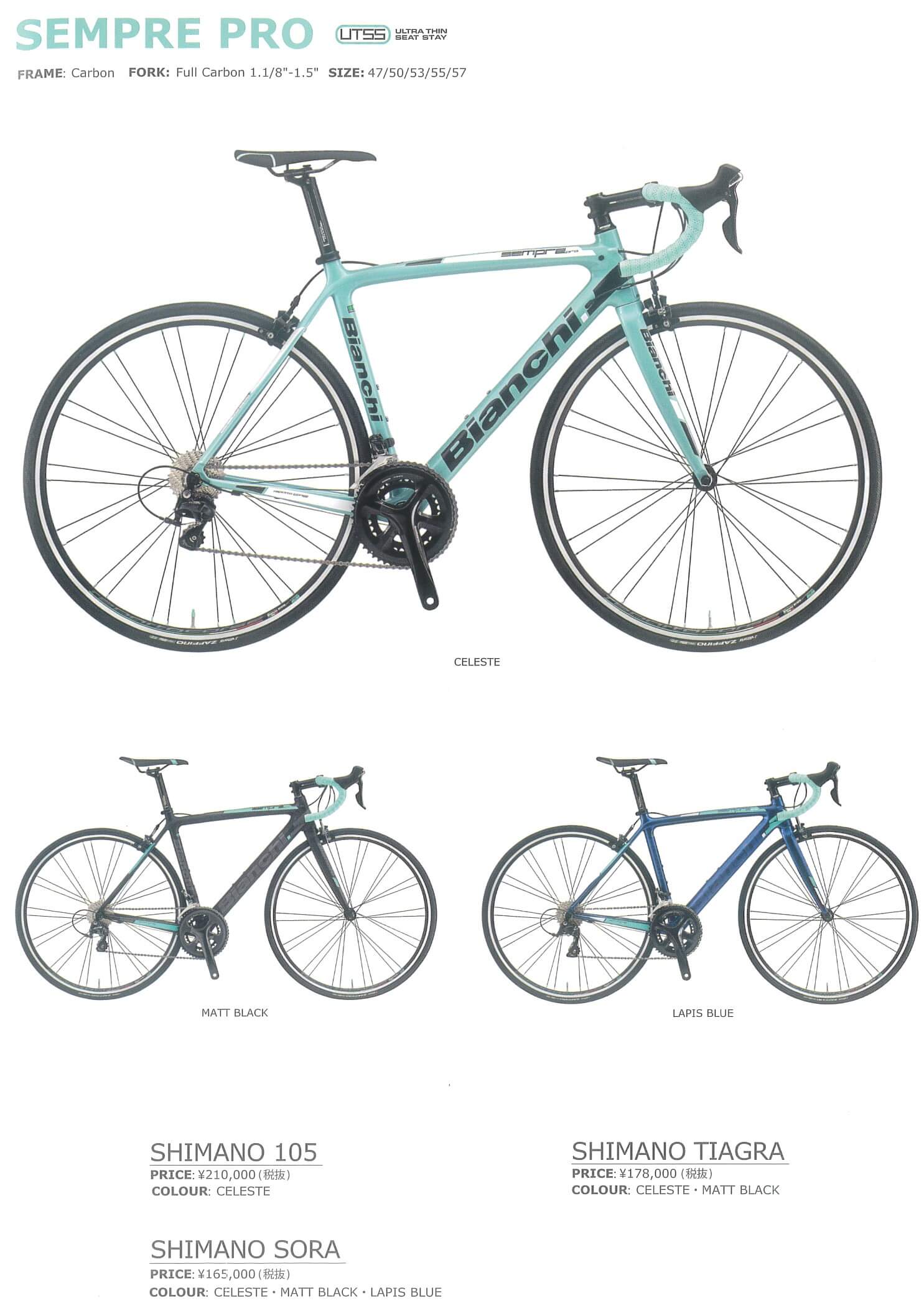 Bianchi ビアンキ sempre pro 2018フレームセット 57-